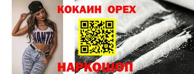 гашик Камышлов