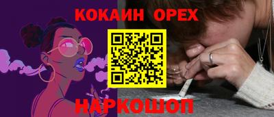 гашик Камышлов