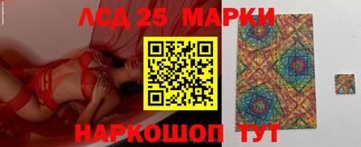 гашик Камышлов
