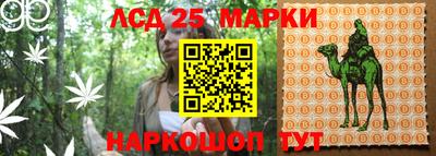 гашик Камышлов