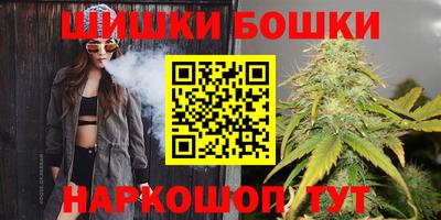 гашик Камышлов