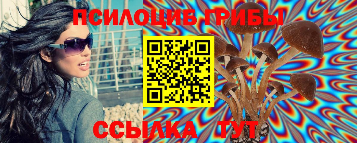 закладки  Галлюциногенные грибы Psilocybine cubensis  Галлюциногенные грибы GOLDEN TEACHER  Вход с VPN  Осинники 