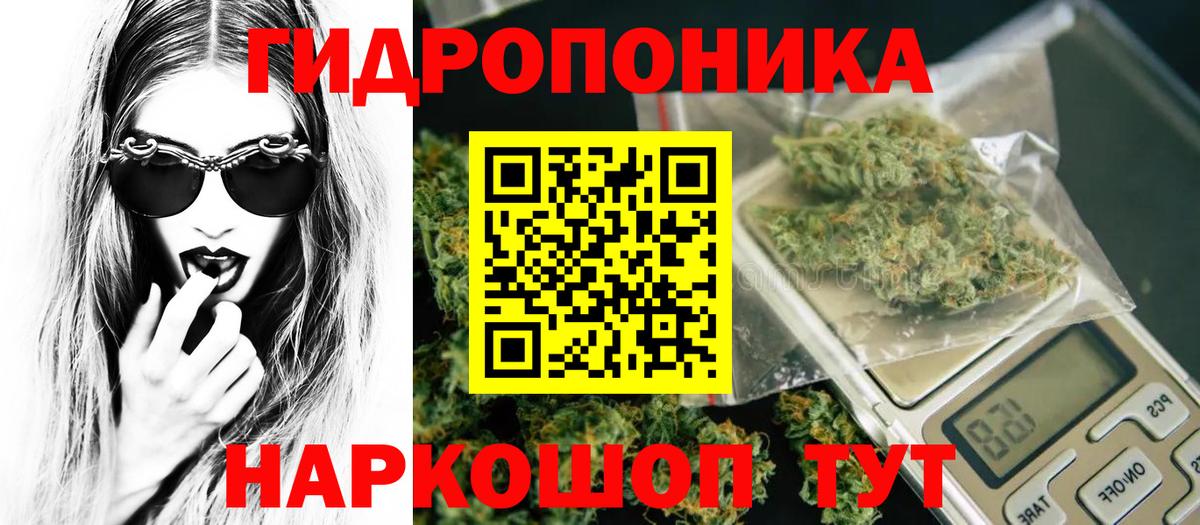 Бошки Шишки сатива  Бошки марихуана конопля  Вход с VPN  Конопля конопля  Осинники 